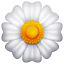 Emoji Fleur blanche U+1F33C Emoji Fleur blanche U+1F33C