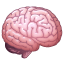 Cerveau Whatsapp U+1F9E0 Cerveau Whatsapp U+1F9E0