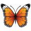 Emoji Papillon U+1F98B Emoji Papillon U+1F98B