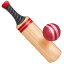Cricket Whatsapp U+1F3CF Cricket Whatsapp U+1F3CF