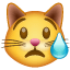 Smiley Chat qui Pleure U+1F63F Smiley Chat qui Pleure U+1F63F
