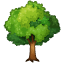 Emoji Arbre Feuillu Whatsapp U+1F333 Emoji Arbre Feuillu Whatsapp U+1F333