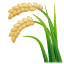 Epis de Riz U+1F33E Epis de Riz U+1F33E