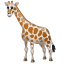 Emoji Girafe U+1F992 Emoji Girafe U+1F992