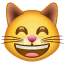 Visage de Chat Rieur Whatsapp U+1F638 Visage de Chat Rieur Whatsapp U+1F638