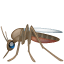 Emoji Moustique U+1F99F Emoji Moustique U+1F99F