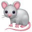 Souris blanche Whatsapp U+1F401 Souris blanche Whatsapp U+1F401