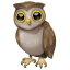 Emoji Hibou Whatsapp U+1F989 Emoji Hibou Whatsapp U+1F989