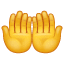 Emoji Prière U+1F932 Emoji Prière U+1F932