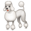 Emoji Caniche U+1F429 Emoji Caniche U+1F429