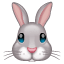 Emoji Lapin Whatsapp U+1F430 Emoji Lapin Whatsapp U+1F430