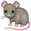 Rat souris grise Whatsapp U+1F400 Rat souris grise Whatsapp U+1F400