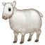 Mouton Whatsapp U+1F411 Mouton Whatsapp U+1F411