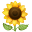 Emoji Tournesol U+1F33B Emoji Tournesol U+1F33B