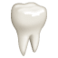 Dent U+1F9B7 Dent U+1F9B7