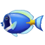 Poisson bariolé U+1F420 Poisson bariolé U+1F420