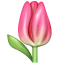 Emoji Tulipe U+1F337 Emoji Tulipe U+1F337