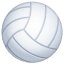 Smiley Volleyball U+1F3D0 Smiley Volleyball U+1F3D0